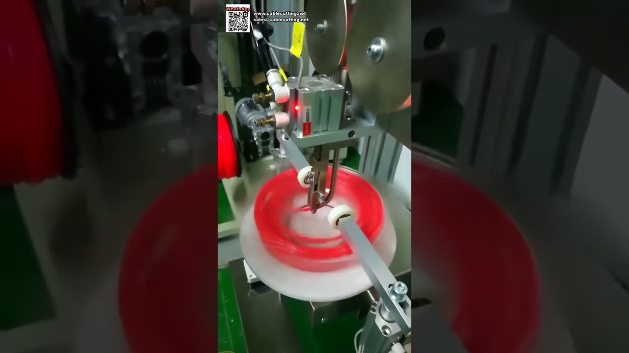 Automatic Blister Winding Machine for Vertical Pound Spool Trimmer Line Packaging - Shorts